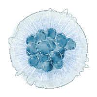 Recovery Aplicacao Sticker by Equipamentos médicos para estética corporal e facial