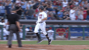 minor league baseball yes GIF