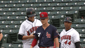 minor league baseball what GIF