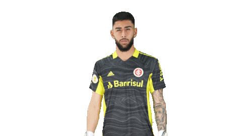 Vamointer Diadeinter Sticker by Sport Club Internacional
