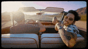 Katastro reggae alternative sucker fearandloathing GIF