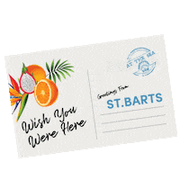 Write Me Wish You Were Here Sticker by The OUAI