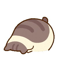 Cats Angrycat Sticker by Bichi Mao