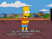 bart simpson episode 20 GIF