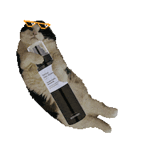 Meditherapy cool skincare meow selfcare Sticker