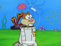 season 1 sb 129 GIF by SpongeBob SquarePants
