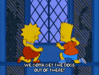season 6 episode 20 GIF