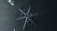 snowflake melting GIF