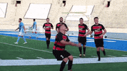 Usl2 GIF by Des Moines Menace