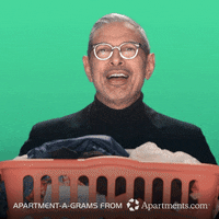 apartmentscom laundry jeff goldblum roommate dryer GIF