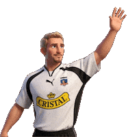 Colo-Colo Colo Sticker