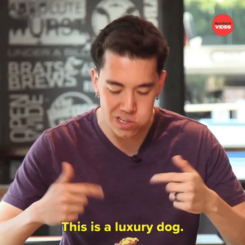 This Is A Luxury Dog