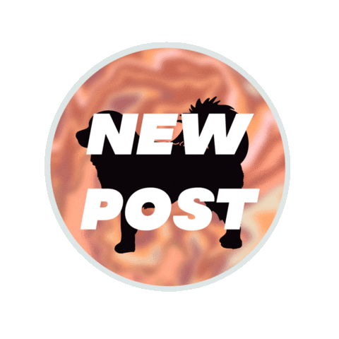 twotibetansdigital dog rainbow newpost camera Sticker