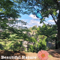 Kinotastisch nature beautiful nature GIF