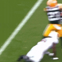 Green Bay Packers GIF