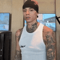 Stan Twt GIF