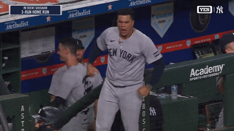 Yelling New York Yankees GIF by MLB