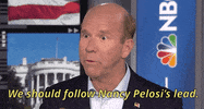 donald trump impeachment nancy pelosi impeach john delaney GIF