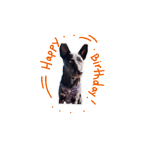 Happy Birthday Sticker by Wag Trendz