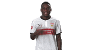 happy vfb stuttgart Sticker by Bundesliga