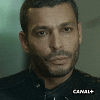 Boss Lol GIF by CANAL+