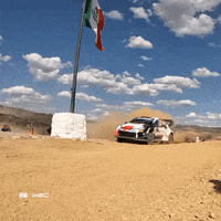 Sport Rallying GIF by FIA World Rally Championship