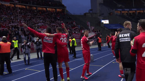1 Fc Cologne Applause GIF by 1. FC Köln