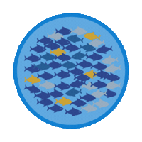 Fish Sticker by Skallywag Media