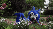 summer flowers GIF by University of West Georgia