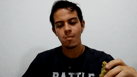 olivemaris giphyupload GIF