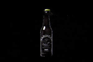 naobeer beer cerveza craft beer cerveza artesanal GIF
