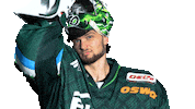 SteelersBietigheim eishockey steelers del scb Sticker