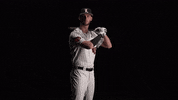 University Of Louisville Baseball GIF by Louisville Cardinals