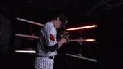 University Of Louisville Baseball GIF by Louisville Cardinals