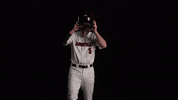 University Of Louisville Baseball GIF by Louisville Cardinals