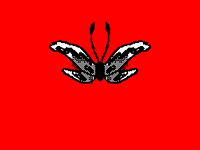 infinitelivez butterfly infinite livez GIF