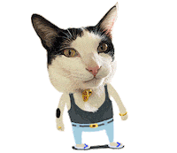 publichild99 cat angry 貓 publichild Sticker