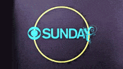 Grammy Awards GIF by Recording Academy / GRAMMYs