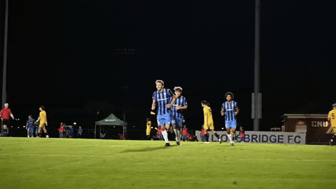Usl2 Lbfc GIF by Lionsbridge FC