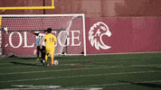 hat trick soccer GIF by Minneapolis City SC