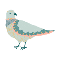 candynar nature bird pattern pigeon Sticker