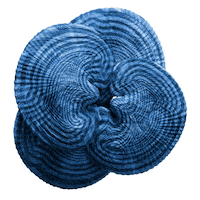 Dance Yes Sticker by Origins