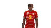 Dance Dancing Sticker by FC Red Bull Salzburg