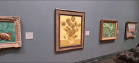 Van Gogh Painting Back on Display in London Gallery After Anti-Oil Activist Threw Soup