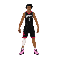 Nba Playoffs Basketball Sticker by SportsManias