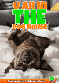 PetJuvenate petjuvenate henlo hooman fren love rescue dogs treatos and woofer for pupper GIF