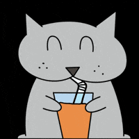 PacoBancal yummy yum gato camp GIF