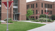 MSUMoorhead dragons msum minnesota state university moorhead take flight GIF