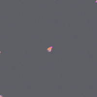 cat GIF by A.M.T.G. G.G.