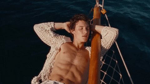 Summer Of Love GIF by Shawn Mendes